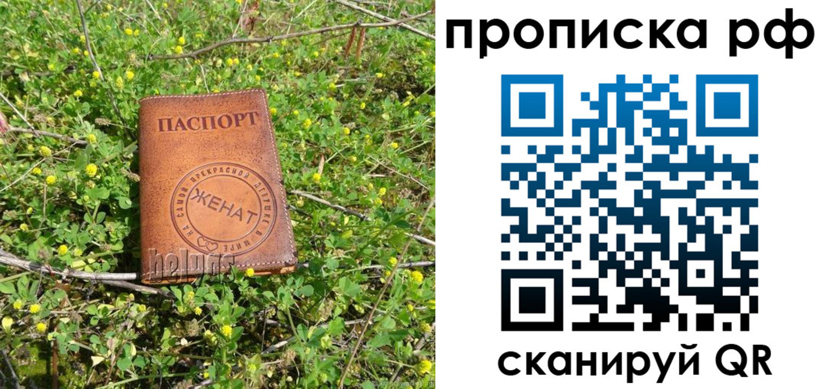 прописка паспорт в Усмани